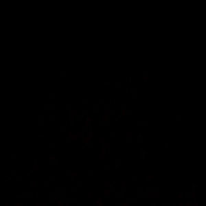 Meet your Posher, Zamantha